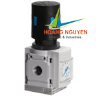 Pressure regulators for manifold assembly MS-LRB